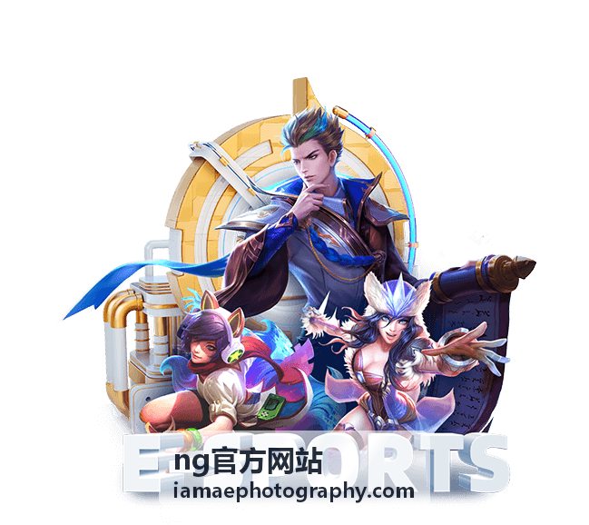 ng官方网站作品案例：物流仓储作业流程影像记录