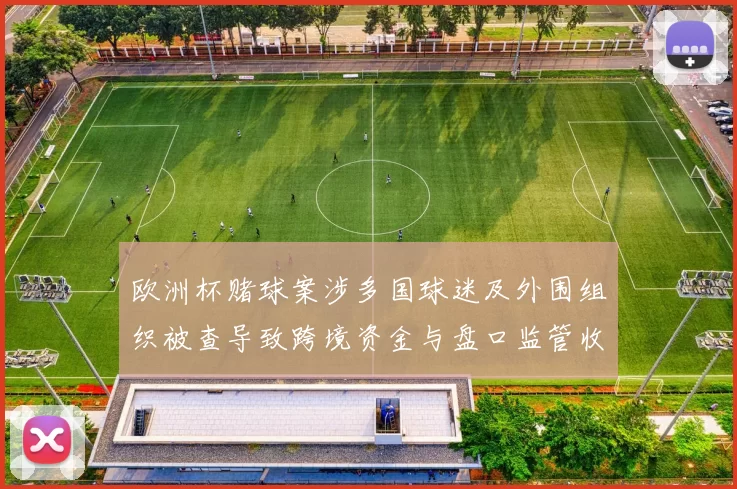 欧洲杯赌球案涉多国球迷及外围组织被查导致跨境资金与盘口监管收紧
