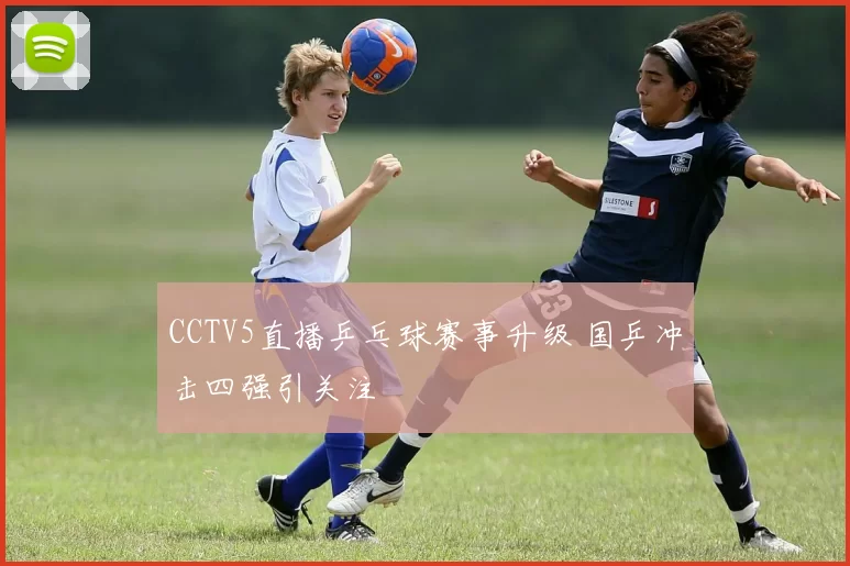 CCTV5直播乒乓球赛事升级 国乒冲击四强引关注