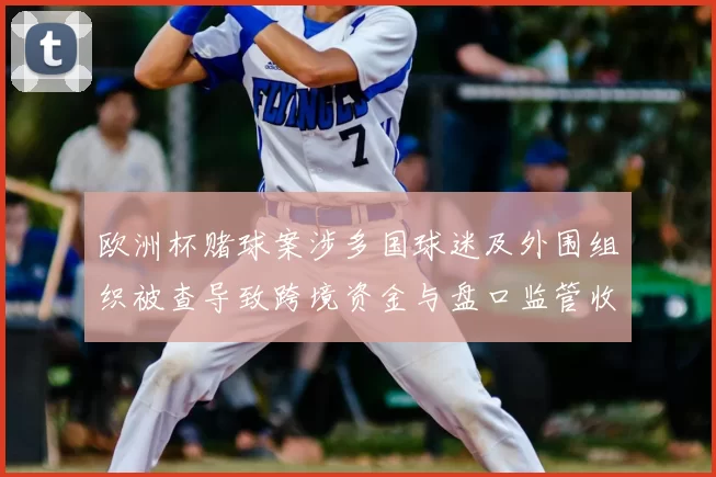欧洲杯赌球案涉多国球迷及外围组织被查导致跨境资金与盘口监管收紧