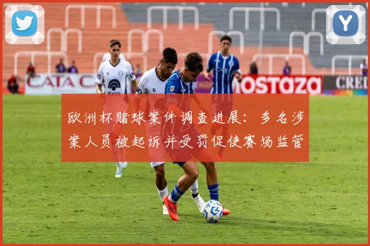 欧洲杯赌球案件调查进展：多名涉案人员被起诉并受罚促使赛场监管加强