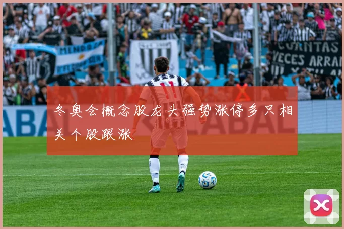 冬奥会概念股龙头强势涨停多只相关个股跟涨