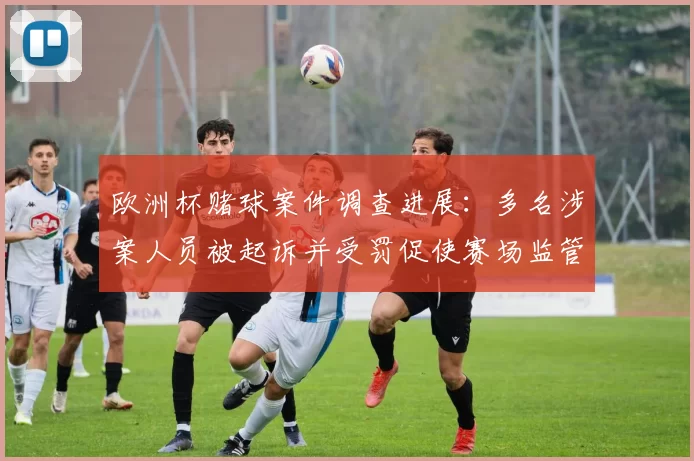 欧洲杯赌球案件调查进展：多名涉案人员被起诉并受罚促使赛场监管加强