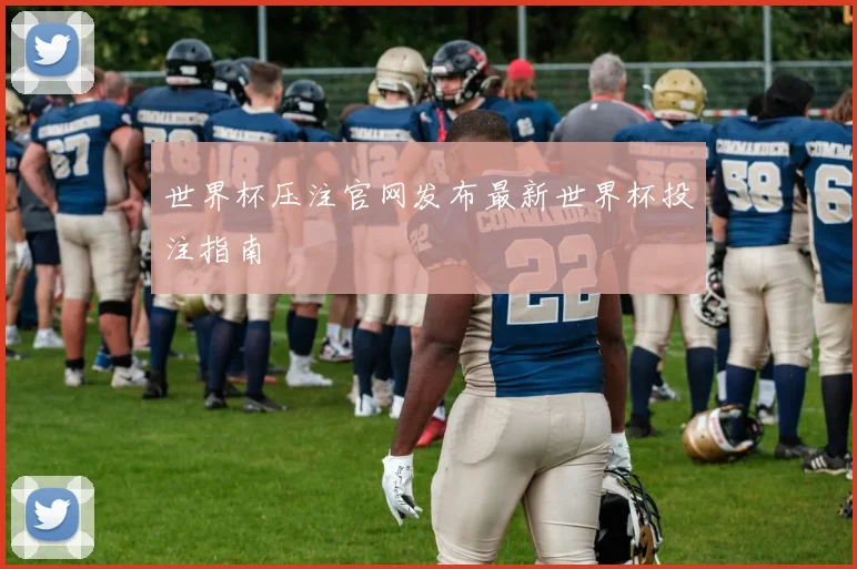 世界杯压注官网发布最新世界杯投注指南