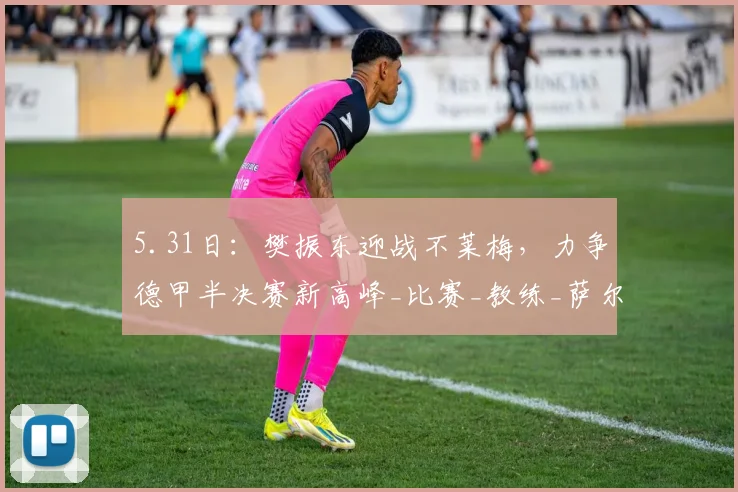 5.31日：樊振东迎战不莱梅，力争德甲半决赛新高峰_比赛_教练_萨尔布吕肯