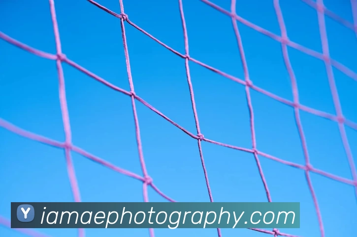 多媒体互动体验